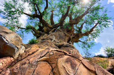 It’s a Girl! Say Hello to Animal Kingdom’s Newest Addition!