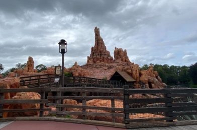 PHOTOS: Finding Quiet Spots Inside Magic Kingdom Even When Attendance Is Increasing