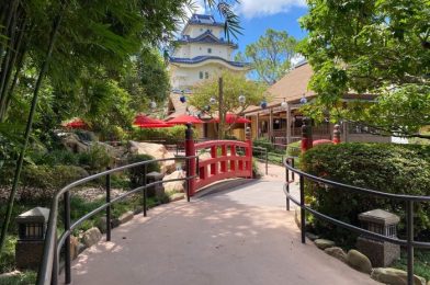 REVIEW: Katsura Grill is EPCOT’s Hidden Gem