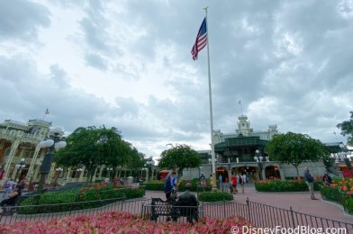 DFB Video: 12 Things You Don’t Know Happen in Disney World EVERY DAY!