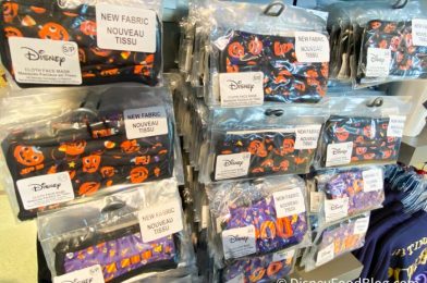 NEWS: You Can Now Use Select Discounts on MASKS in Disney World