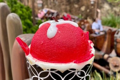 Check Out Some of Our NEW Favorite Halloween Treats at Magic Kingdom