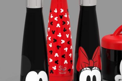 OH, BOY! These NEW Disney Mickey and Minnie Bottles Are Super S’well! – DRAFTED RB