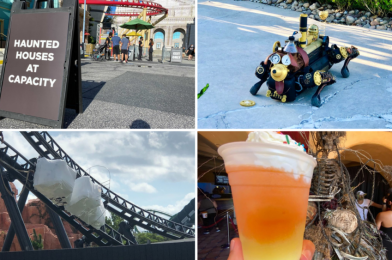 UPNT Weekly Recap: Velocicoaster Ride Vehicle, Haunted Houses, Robot Dog, Capacity Closures, and More