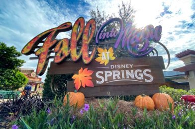 Fall Decor is BACK (With a Missing Fan-Fav) in Disney Springs!