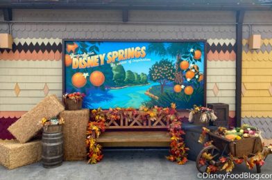 What’s New in Disney Springs: Halloween Treats, Fall Decorations, and HIGH Demand Merch!