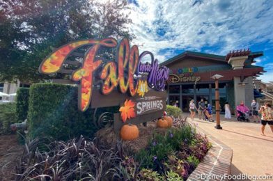 Fall Arrives With LOTS of New Restaurant Cocktails in Disney Springs!