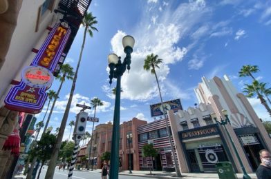 What’s New at Disney’s Hollywood Studios: Daisy and Minnie Tees and a ‘Finding Nemo’ Tumbler!