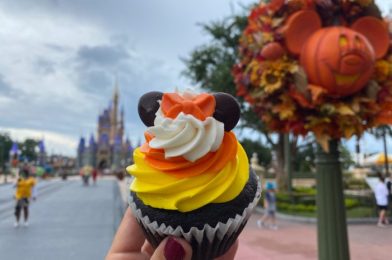 This Halloween Tiramisu in Disney World Is So Good It’s Making Our Bones Rattle!