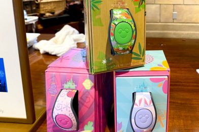 YAY! We Just Found THREE Minnie Mouse: The Main Attraction MagicBands in Disney World!