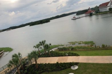 NEW Grand Floridian Walkway to Magic Kingdom Getting Closer to Opening