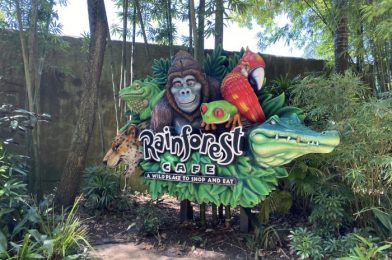 Review! Is Rainforest Cafe in Disney World’s Animal Kingdom a ROAR or a SNORE?