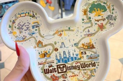 PHOTOS: These New Kitchen Items in Disney World Just Might Make Washing the Dishes…Magical?!?