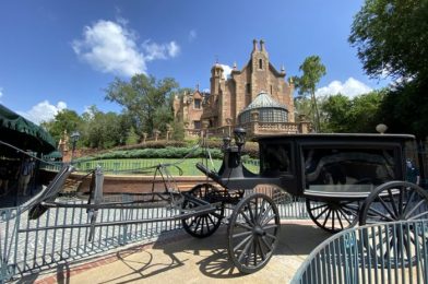 Going, Going, GONE! This Merchandise Celebrating Disney’s Haunted Mansion Is Already SOLD OUT Online!