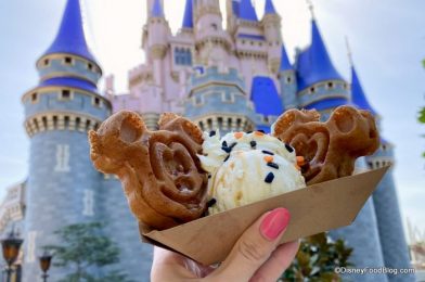 Photos and Review! This Pumpkin Spiced Shake in Disney World Is Gourd-geous!