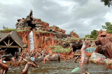 Splash Mountain Evacuated and Now Temporarily Closed in Disney World