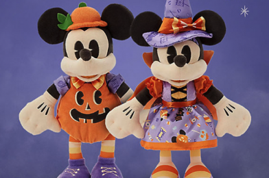 NEWS: Annual Passholders Get 30% Off on shopDisney RIGHT NOW!