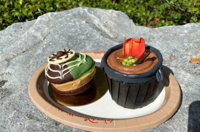 REVIEW: NEW Pumpkin Spiced Marshmallow Whoopie Pie and Caramel Cauldron Cupcake at Walt Disney World