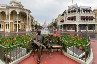 Grab Your Umbrella! We Spotted A Fun Rainy Day Version of a Character Cavalcade in Disney World!