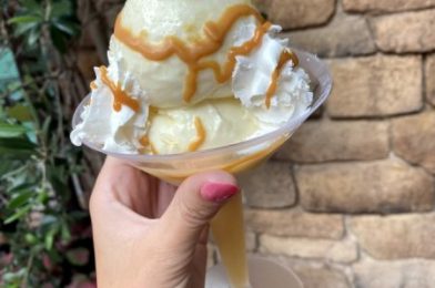 Where To Get CHEESE Ice Cream in Disney World…And Why We Think You Should Try It!