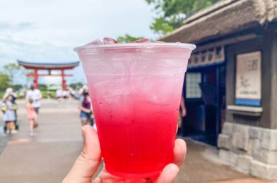 DRINK UP! There’s a NEW Sparkling DRAGON Seasonal Drink in Disney World!