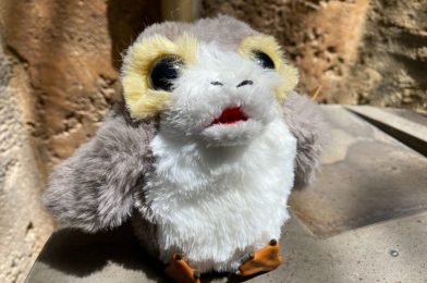 PHOTOS: NEW Talking Toddler Porg Shoulder Plush Arrives at Star Wars: Galaxy’s Edge in Disney’s Hollywood Studios