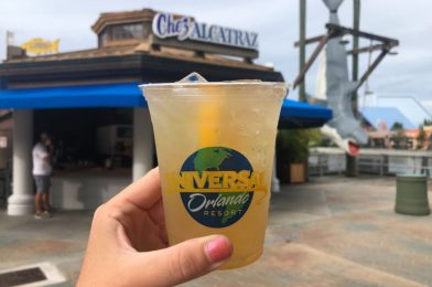 PHOTO REPORT: Universal Orlando Resort 9/14/20 (Curtains on Halloween Horror Night Signs, UOAP Medjai Mule, New Face Masks, Pumpkin Pie Fudge, “Horror Throwbacks” Shot Glasses, and More)