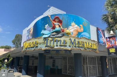 Everything You Need to Know About Voyage of the Little Mermaid