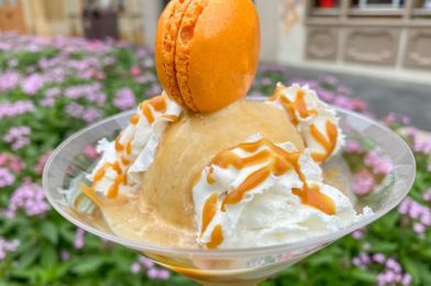 Is This Pumpkin Whoopie Pie in Disney World as Delicious as It Looks? (Spoiler Alert: Yes, Yes It Is)