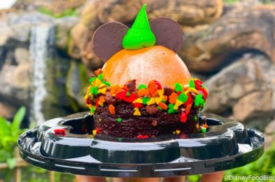 This New Cheesecake Is Making All Our Pumpkin Dreams Come True in Disney World