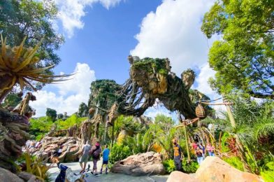 What’s New in Animal Kingdom: Beauty and the Beast Wishables and Reusable Lion King Straws