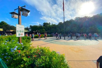 PHOTOS! Entry Glitch Causes Long Lines and Large Crowds in Disney World