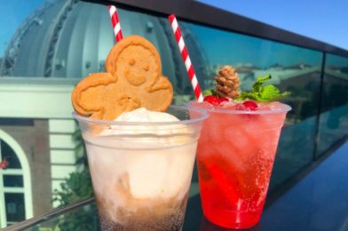 Review! Christmas Came Early With These TWO Boozy Holiday Drinks in Disney World