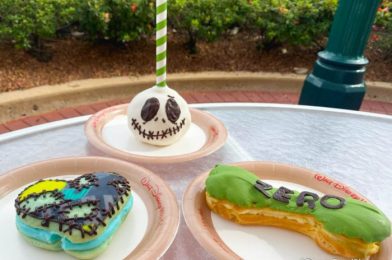 Review! There’s a NEW Zero-Inspired Nightmare Before Christmas Treat in Disney World