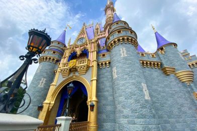 Buffalo Chicken Tots Are BACK! Friar’s Nook Has Reopened in Disney World!