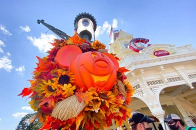 NEWS: Halloween Park Passes Are GONE for Disney World Annual Passholders