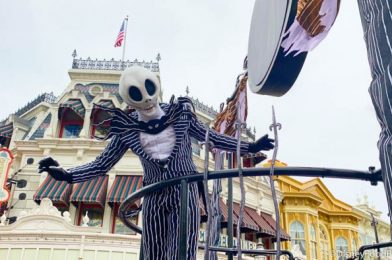 PHOTOS AND VIDEO: What’s This? Jack And Sally Had Costume Updates Today At Disney World!