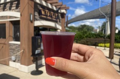 REVIEW: This New Beer at Disney World is PERFECT for Cider-Lovers!