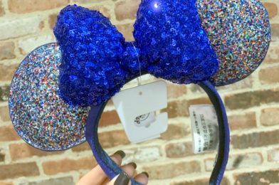 WOW! $7.50 for Minnie Ears?! Find Out How to Get Them in Disney World!