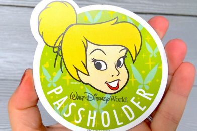 Disney World Passholders on a Monthly Payment Plan Asked to Finalize Their Pass Extension By November