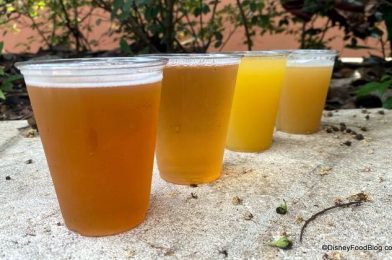 There’s A New Beer at EPCOT’s China Booth — But Is It Any Good?