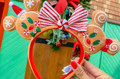 PHOTOS: NEW Peachy Queen Minnie Ears Have Arrived in Disney World!