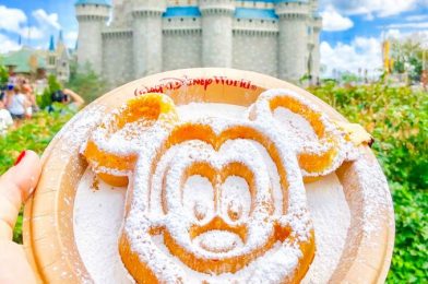 Waffle Alert! You NEED to Know What’s Going Down With These Fan Favorites in Magic Kingdom!