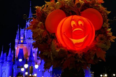 The Results Are In! See Which Disney World Treat WON Our Halloween Snack Bracket!