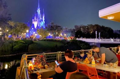 VIDEO: Cinderella Castle Nighttime Show Projections Being Tested in Disney World