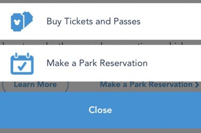 My Disney Experience Adds Disney Park Pass Button; Reservations Still Not Available Within the App