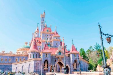 Could Foreign Tourists Be Allowed to Travel to Tokyo Disney Resort Soon?