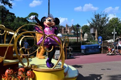 PHOTO REPORT: Magic Kingdom 10/6/20 (Fifi Character Added To “it’s a small world”, New Black Panther and Nightmare Before Christmas Magnets, TRON Lightcycle Run Construction, and More)