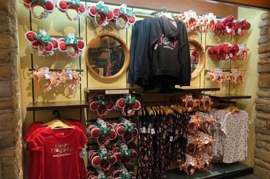 These Holiday Pet Outfits in Disney World Allow You to TWIN With Your Fur Babies This Season!