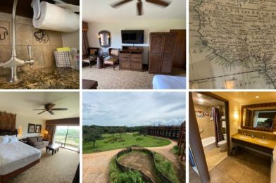 PHOTOS, VIDEO: Tour a Deluxe Standard View Studio Room at Disney’s Animal Kingdom Villas – Jambo House